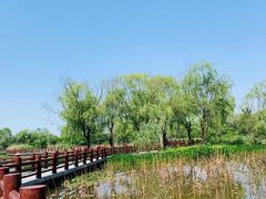 -长兴太湖图影湿地文化园