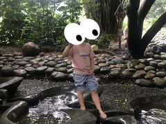 -成都市活水公园