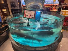 -魏铭鱼头捞饭(晋阳路店)