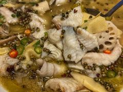 胡椒酸菜鱼-眉州东坡(博雅店)
