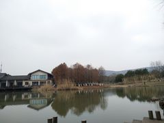-长广溪湿地公园