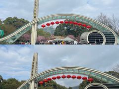 -南山植物园