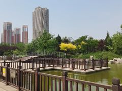 -绿岛公园(滨海新区)