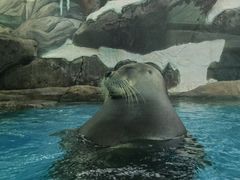 -海合安成都极地海洋公园