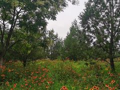 -东郊湿地公园