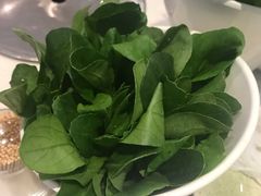 鸡毛菜-08涮肉坊(广顺南大街店)