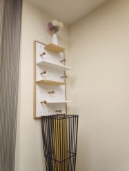 -至臻康妍健康管理中心