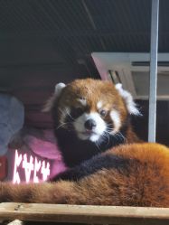 -Zoolung Zoolung动物主题公园(海信广场店)