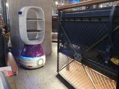 -机器人火炉披萨