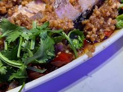 -杨氏青龙虾·羊蝎子(托乐嘉店)
