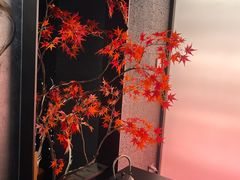 -吉川谷谷·铁板烧烤肉放题(石景山台湾街店)