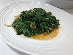 草头圈子-品悦酒店(三林古镇店)