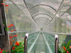 -汕尾铜鼎山旅游区