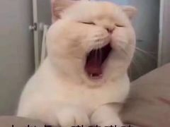 -香满园春饼·家常菜(东大桥店)