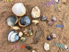 -刘家湾赶海园