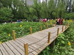 -满都海公园