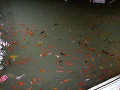 -党河风情线国家水利风景区