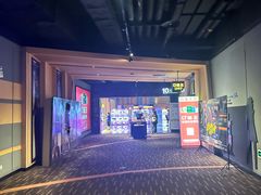 -万达影城(安吉万达广场IMAX店)
