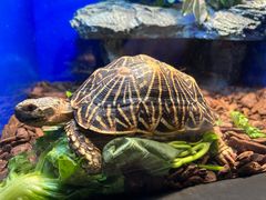 -上海海洋水族馆