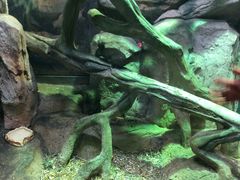 -福州罗源湾海洋世界旅游区