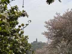 -苏州上方山国家森林公园