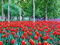 -长春公园(普阳街道)