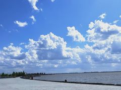 -呼兰河口湿地公园