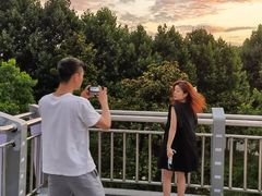 -天鹅湖体育公园