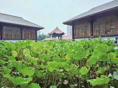 -巴山·烤全羊(高新总店)