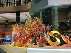 -上海新锦江大酒店