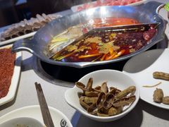 -渝大龙重庆火锅(温泉月亮湾店)