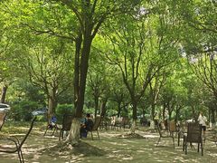 -两河城市森林公园