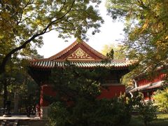 -北京植物园-展览温室