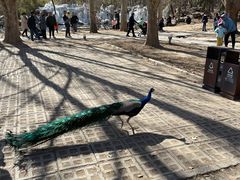 -银树楼(紫玉山庄东区店)