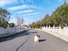 -贡湖湾湿地公园