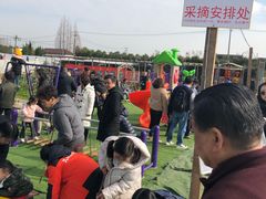 -小鱼草莓采摘园农家乐·小鱼餐厅