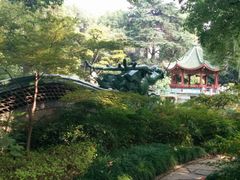 android_upload_pic-申粤轩酒楼·三十年粤菜经典(丁香花园店)
