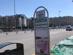 -桃花堤公园