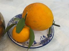 -津津名菜馆(绝没分店)