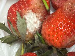 -四季水果蔬菜园(闽江路店)