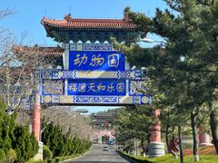 -西霞口神雕山野生动物世界