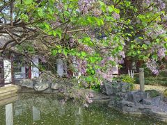 -常熟方塔园
