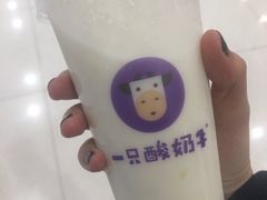 -一只酸奶牛(来福士店)