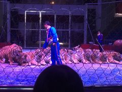 -西安秦岭野生动物园