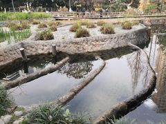 -成都市活水公园