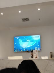 -YESIDO椰岛造型