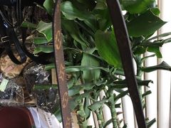 -名品国际·奢侈品养护中心(中山店)
