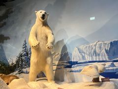 -陕西自然博物馆