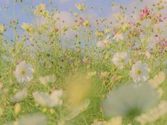 -张氏宽窄巷成都名小吃(茂业百货华强北店)