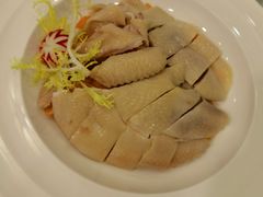 白切鸡-金河半岛园林酒家(金融城店)